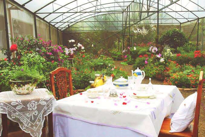 lunch-at-sonya's-garden-92151