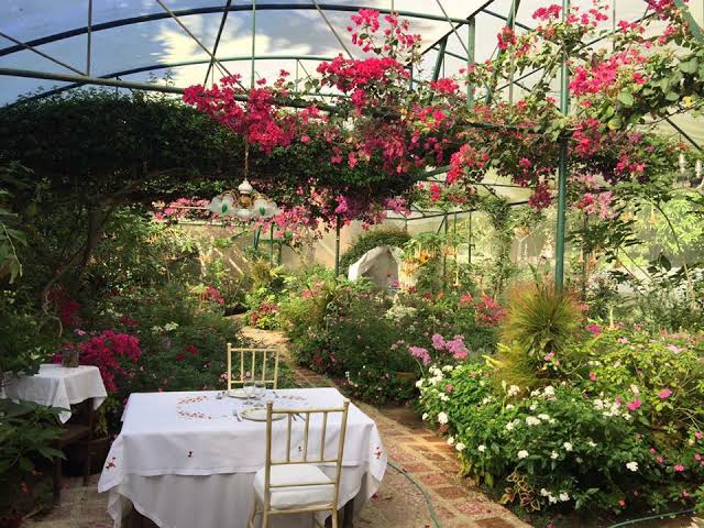 Lunch at Sonya's Garden