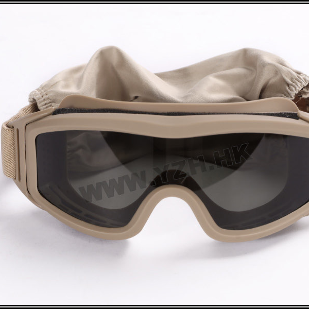 REVISION GOGGLES (DE)