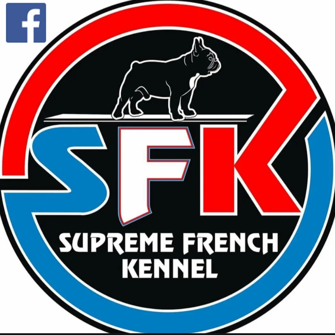 Shop Logo