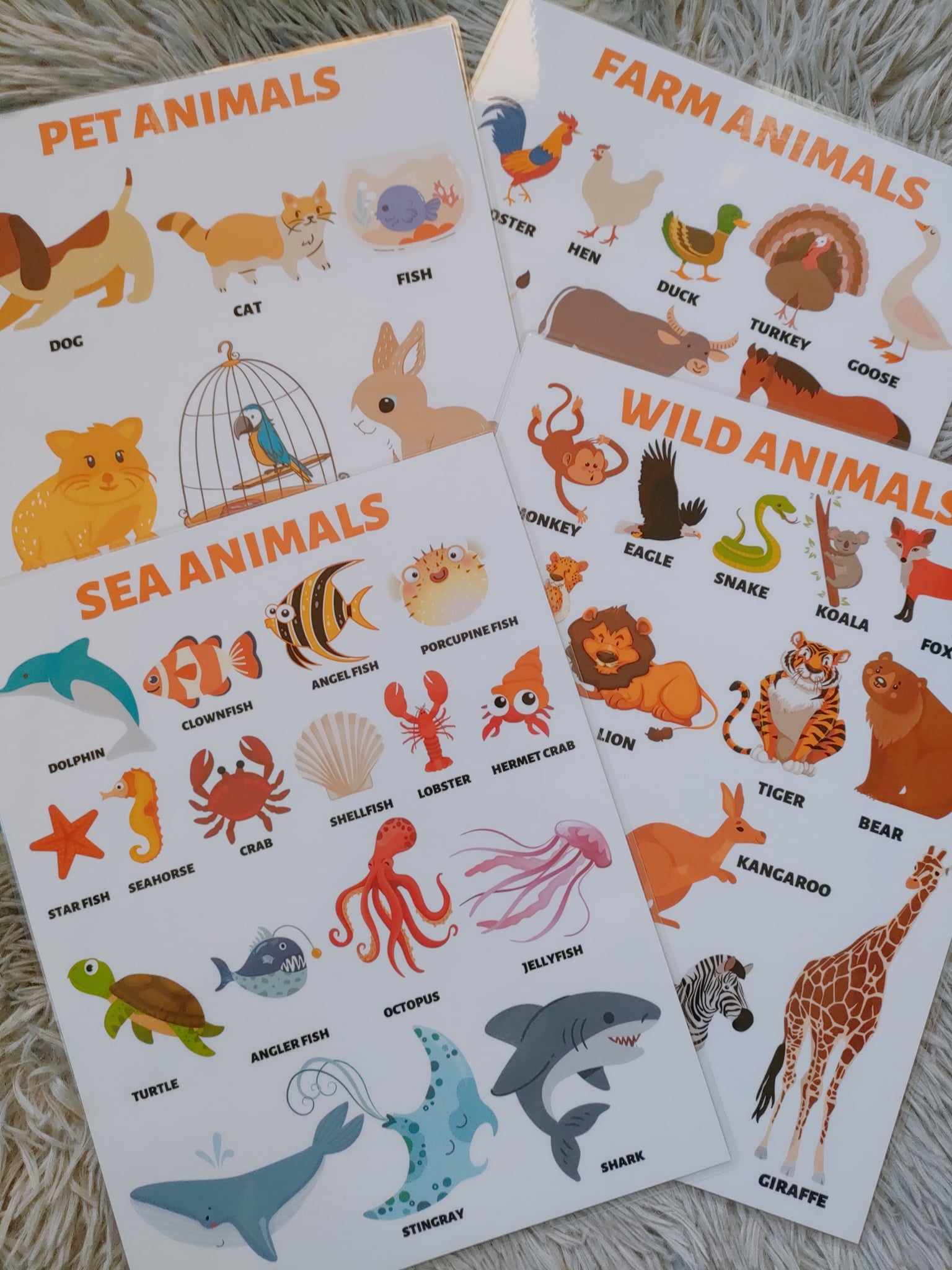 Kids Wall Chart